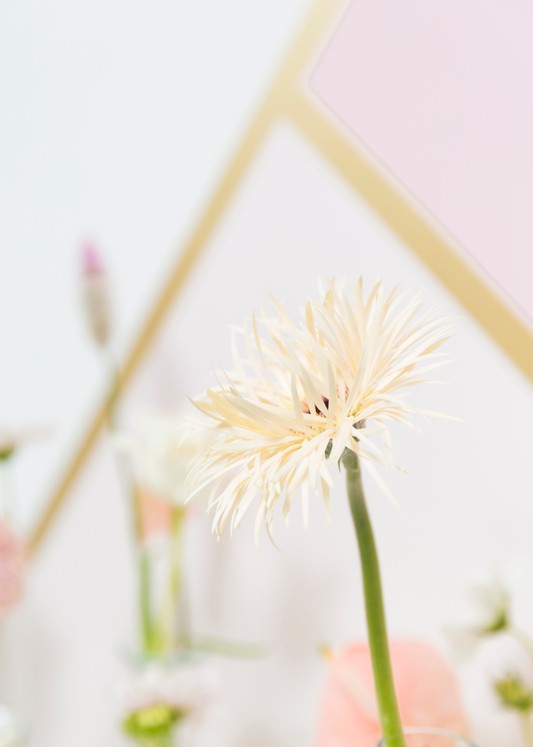 芬琳絲柔漆怎樣？揭開芬琳絲柔漆的真面目